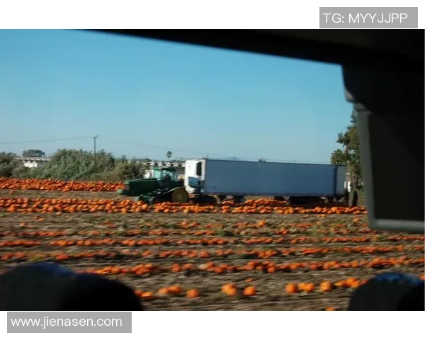 汉堡与奥斯纳激战正酣赛果揭晓引发热议与期待