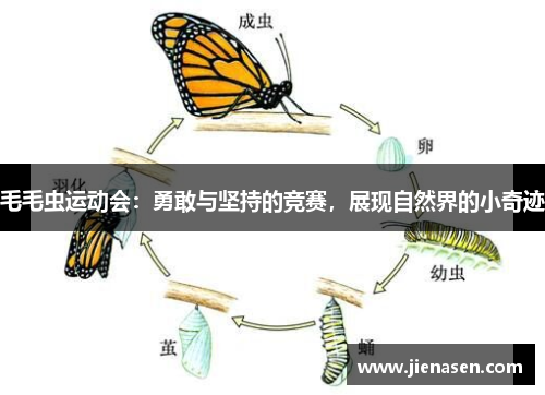毛毛虫运动会：勇敢与坚持的竞赛，展现自然界的小奇迹