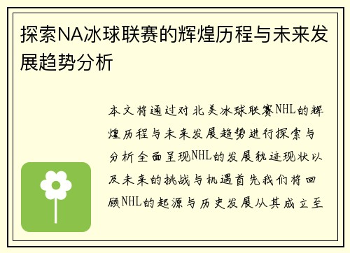 探索NA冰球联赛的辉煌历程与未来发展趋势分析