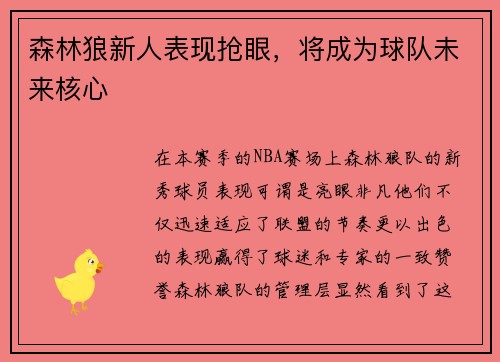 森林狼新人表现抢眼，将成为球队未来核心